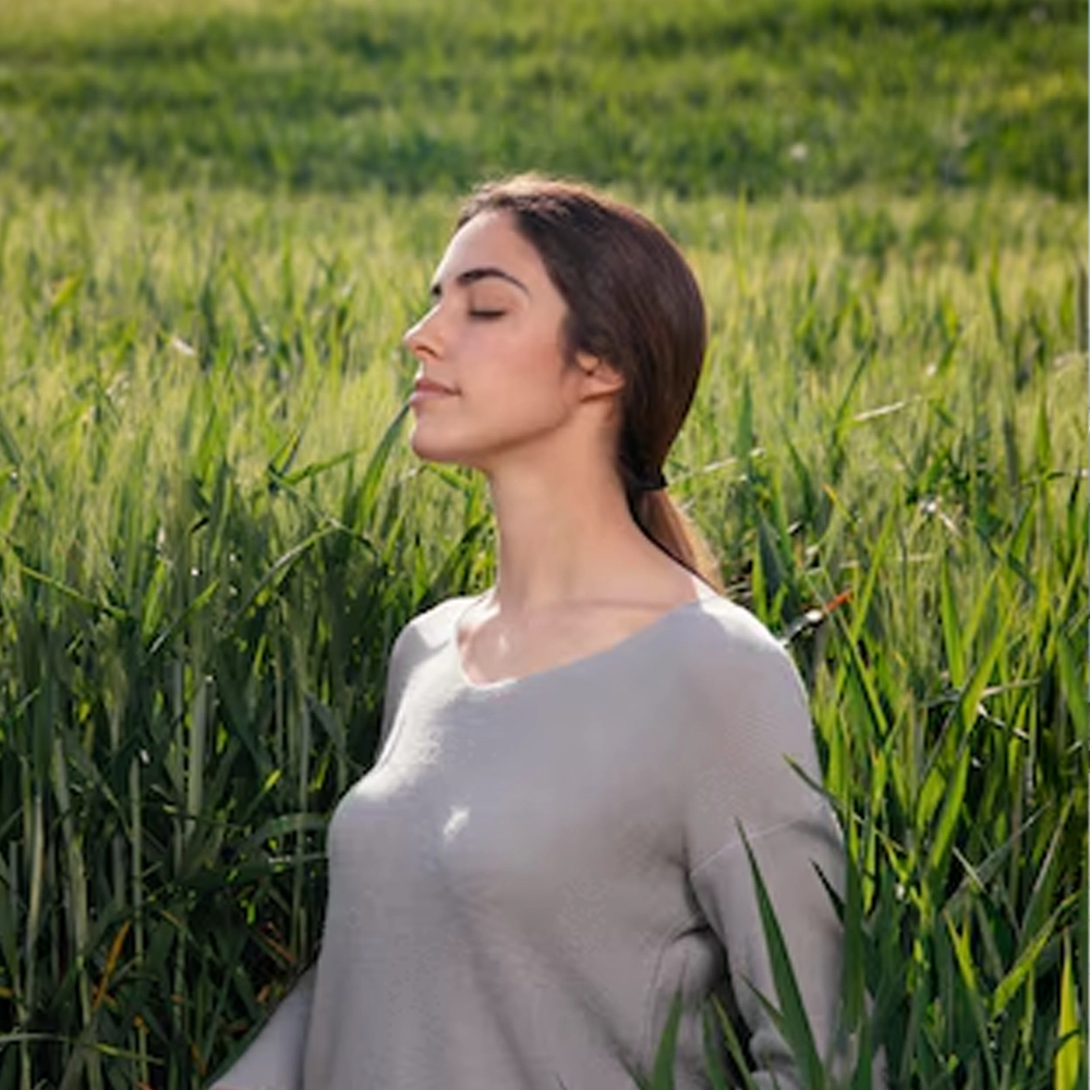 Mindleo - Find Another Self